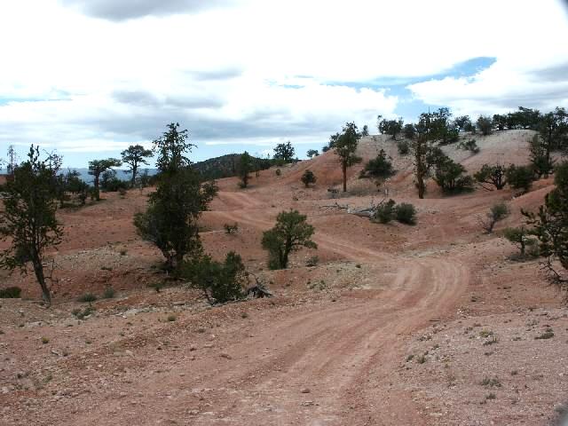 4wd8.jpg