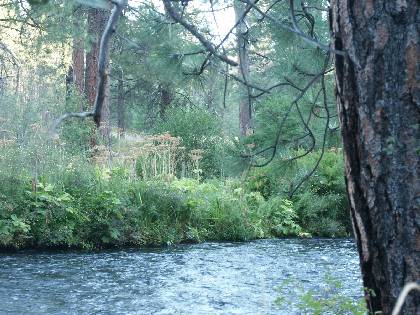 01metolius.jpg