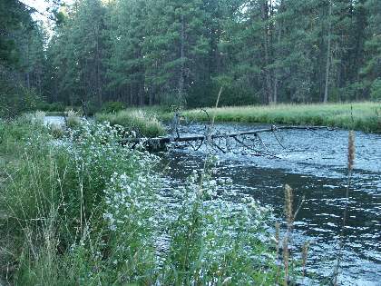 02metolius.jpg