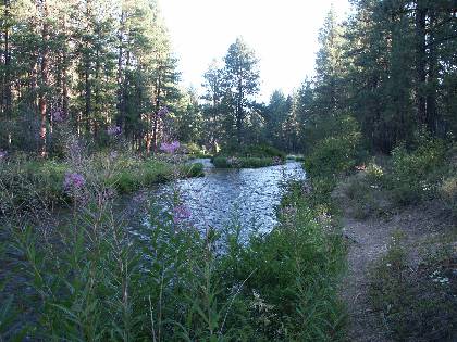 06metolius.jpg