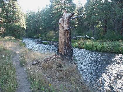 10metolius.jpg