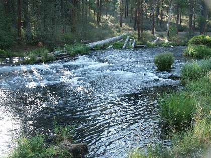 11metolius.jpg