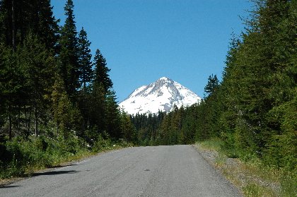 11forest_route_44.jpg