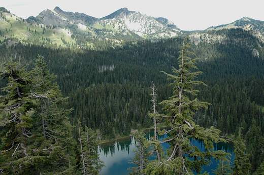 mt_rainier_east_side6-1.jpg