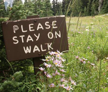 stay_on_walk-east_side_mt_rainier-1.jpg