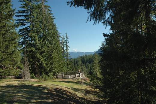 view_mt_adam_frm_box_cyn-1.jpg