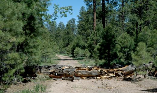 03road_hazard.jpg