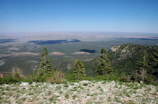 15marble_cyn_viewpt3.jpg