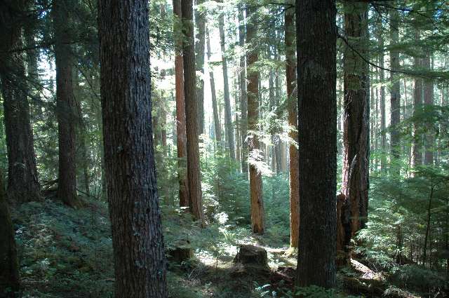 138_06_yaksofalls_trail2.jpg
