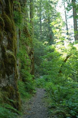138_07_yaksofalls_trail1.jpg