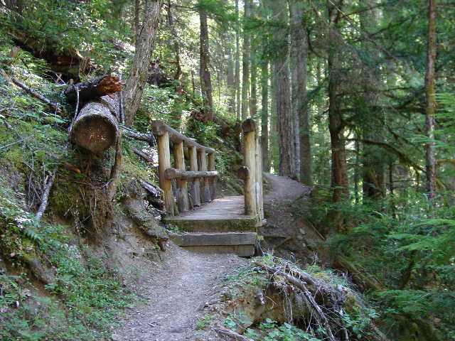 138_08_yakso_trail.jpg