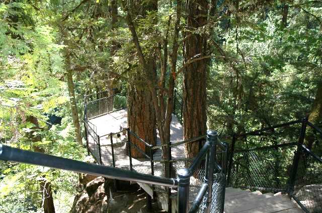 138_15_observation_deck_toketeefalls.jpg