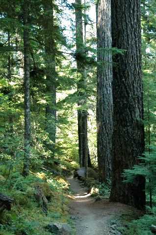 138_17a_watsonfalls_trail.jpg